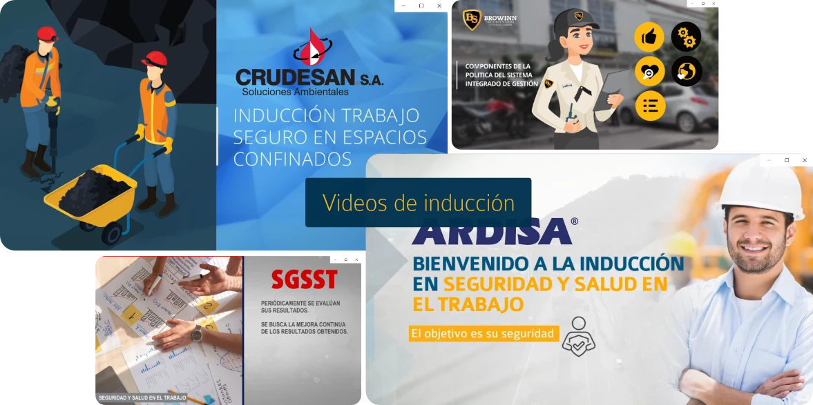 Videos de inducción
