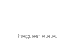 Baguer S.A.S